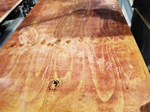 广西构筑模板出厂价值