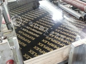 广西净水模板厂家挺住